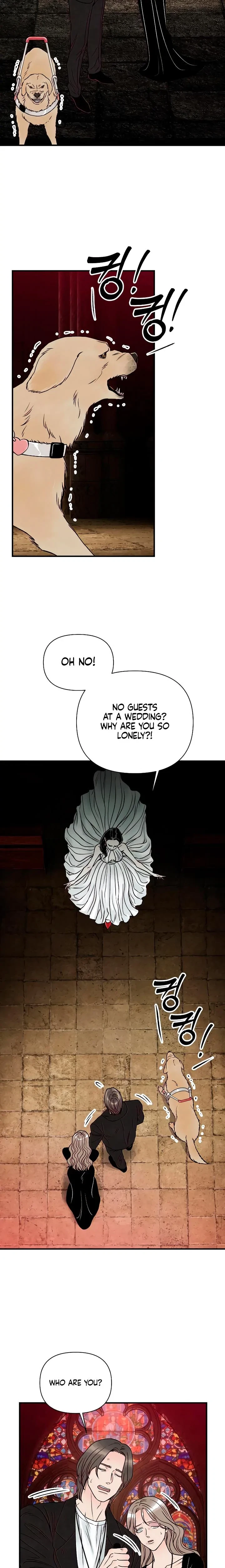 Chapter 4, page 24