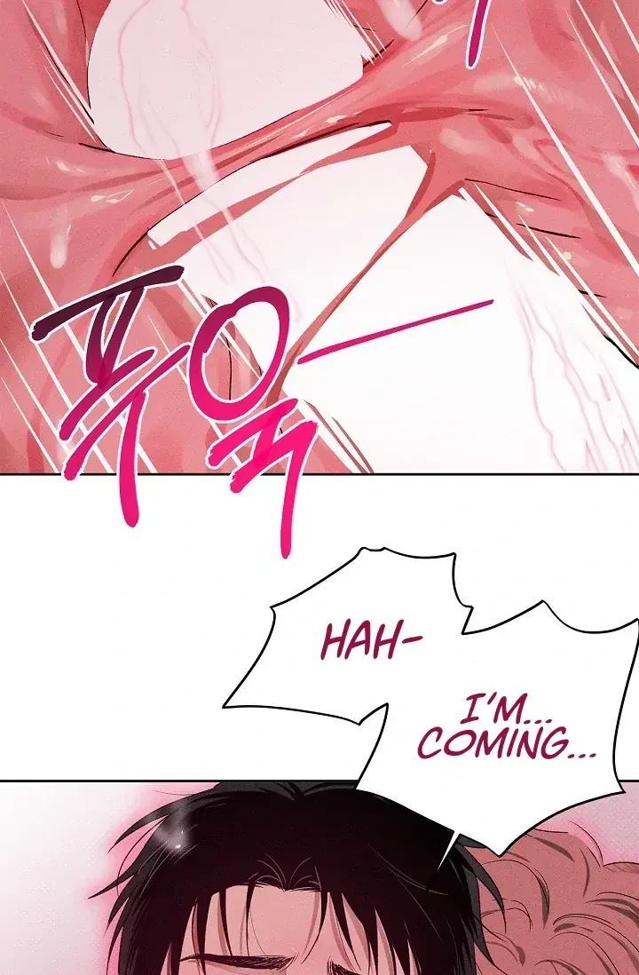 Chapter 4, page 66