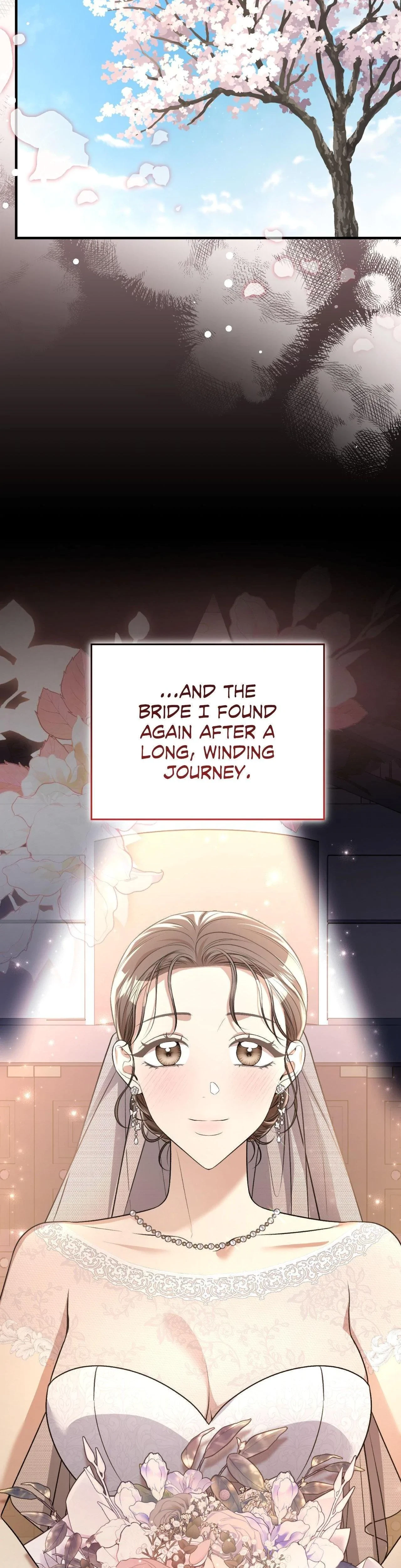 Bride For The Taking Chapter 60, page 48