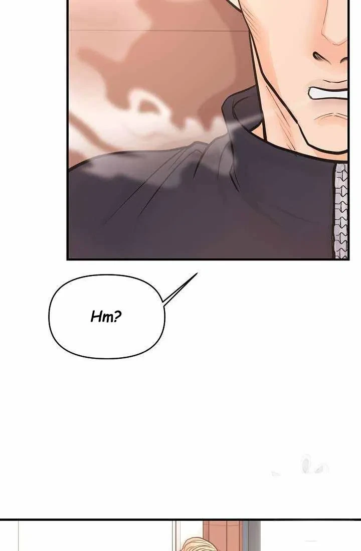 Chapter 3, page 66