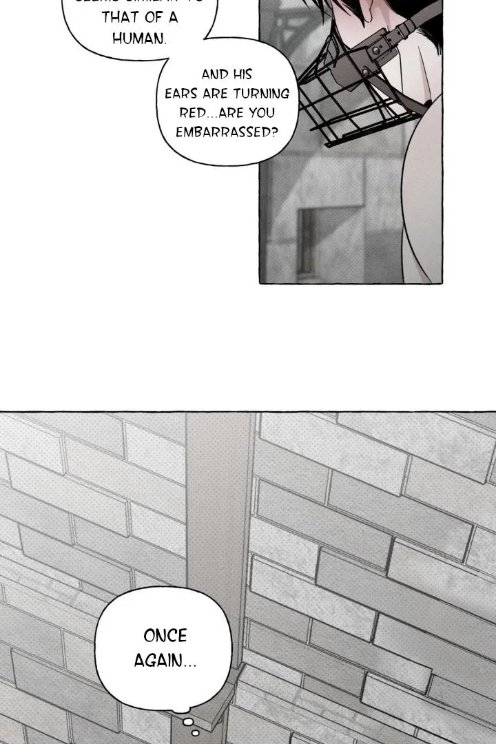 Chapter 3, page 14