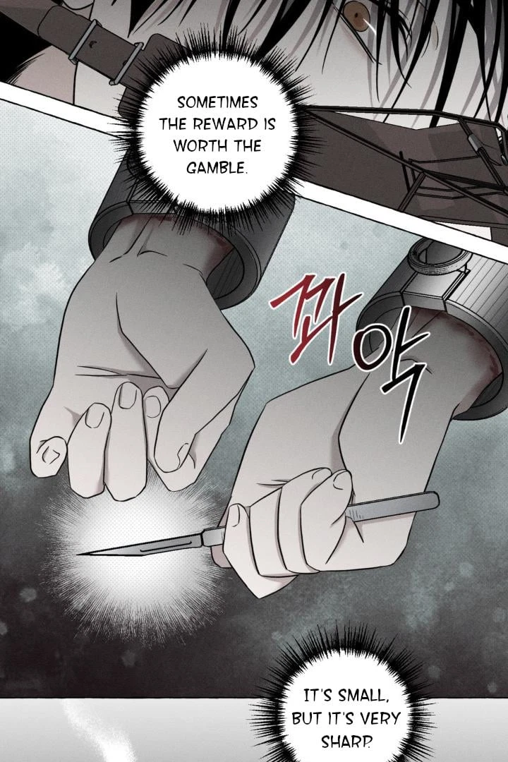 Chapter 3, page 37