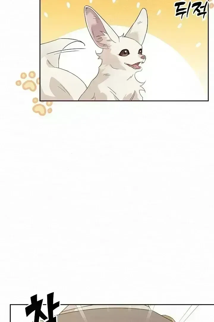 Chapter 1.8, page 51