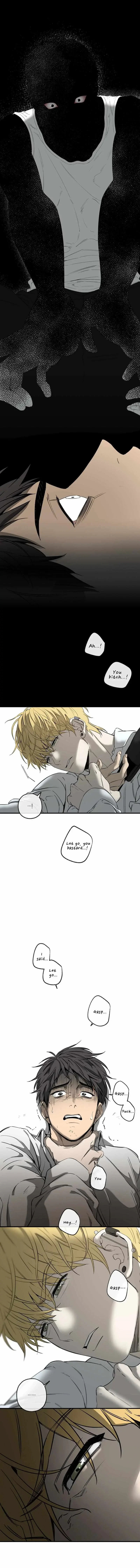 Chapter 1, page 13