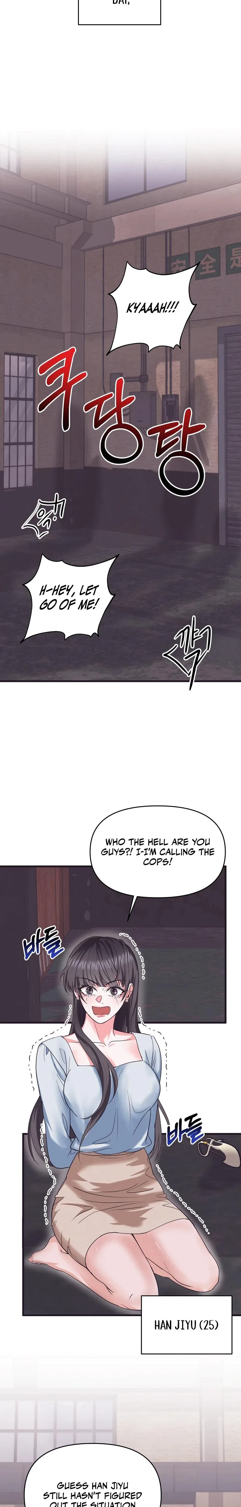 Chapter 1, page 17