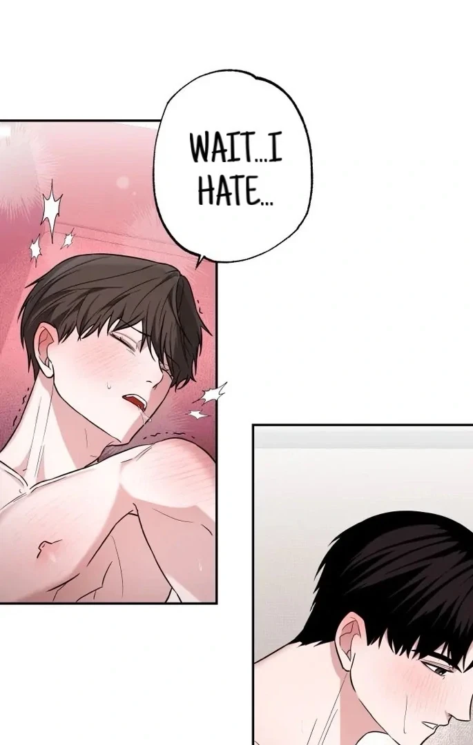 Chapter 3, page 97