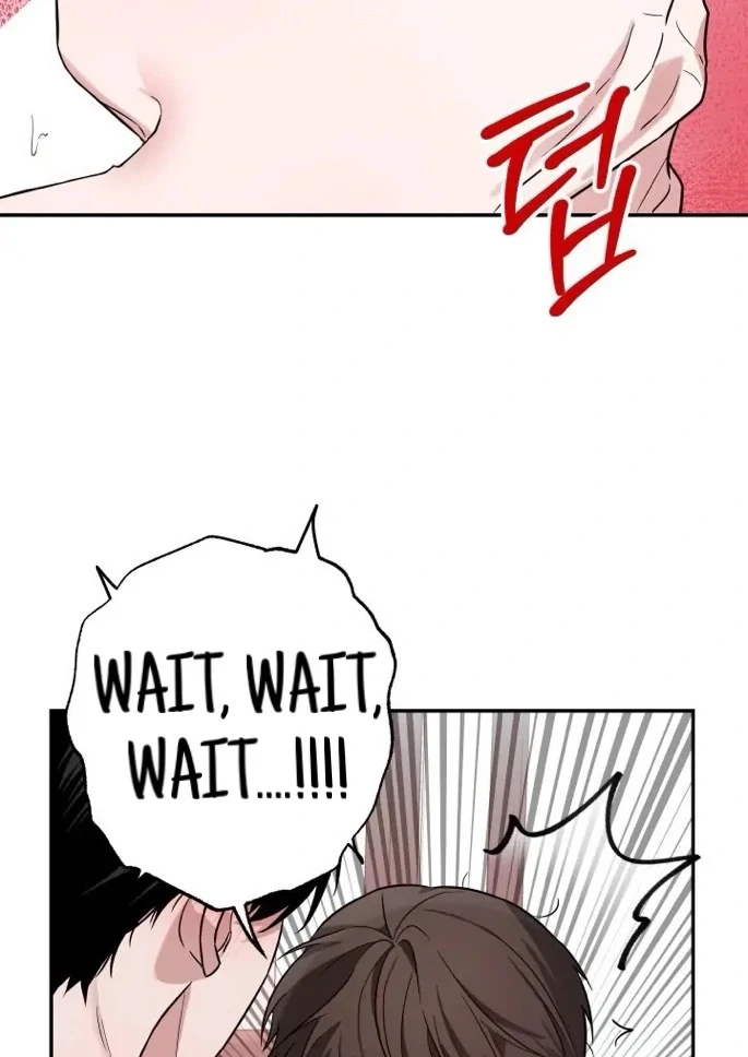 Chapter 3, page 99