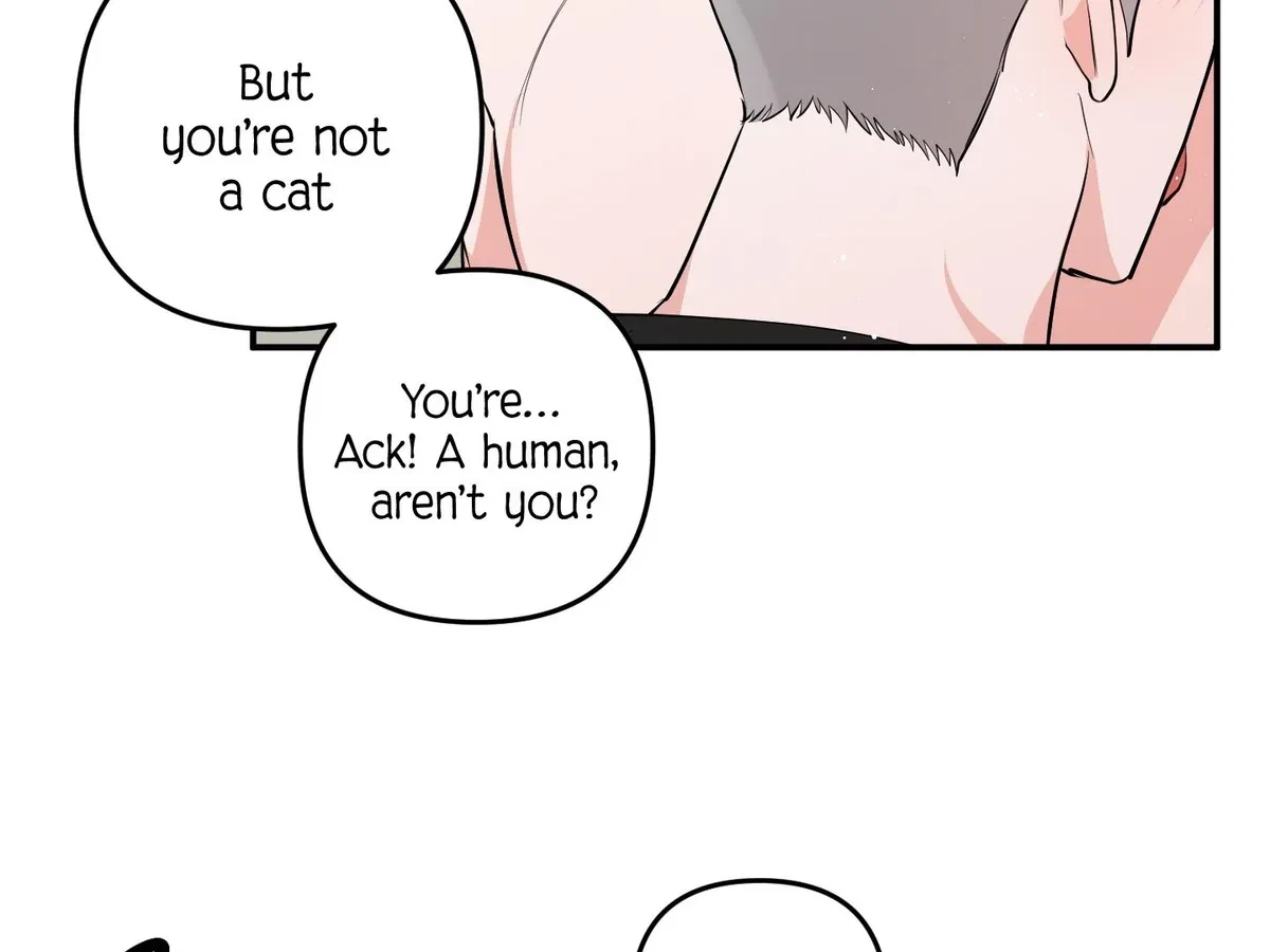 Chapter 7, page 8
