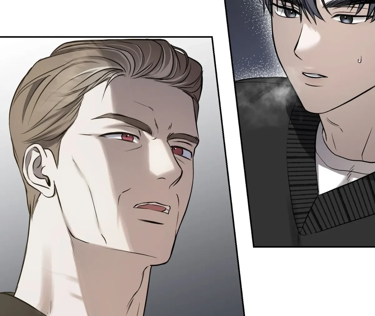 Chapter 3, page 102