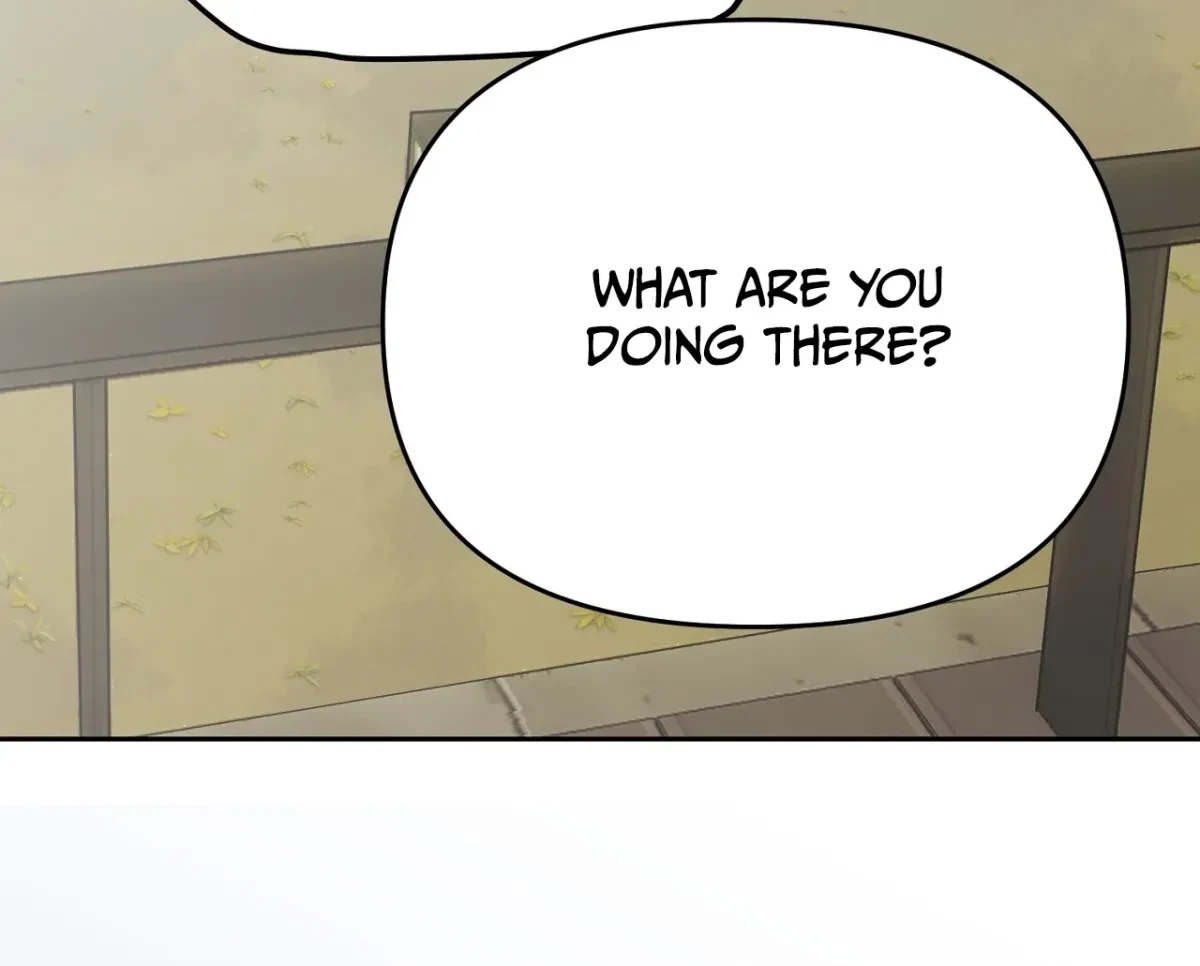 Chapter 3, page 97