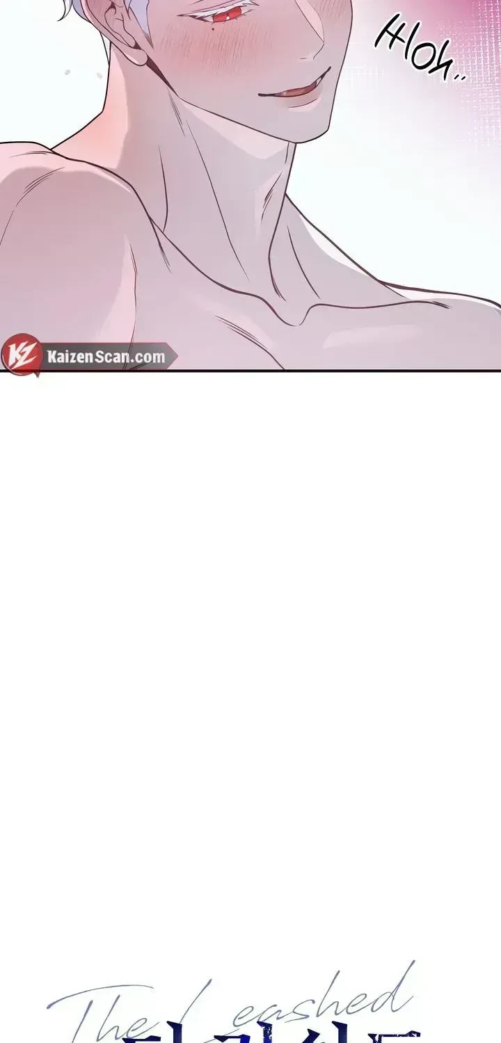 Chapter 2.4, page 23