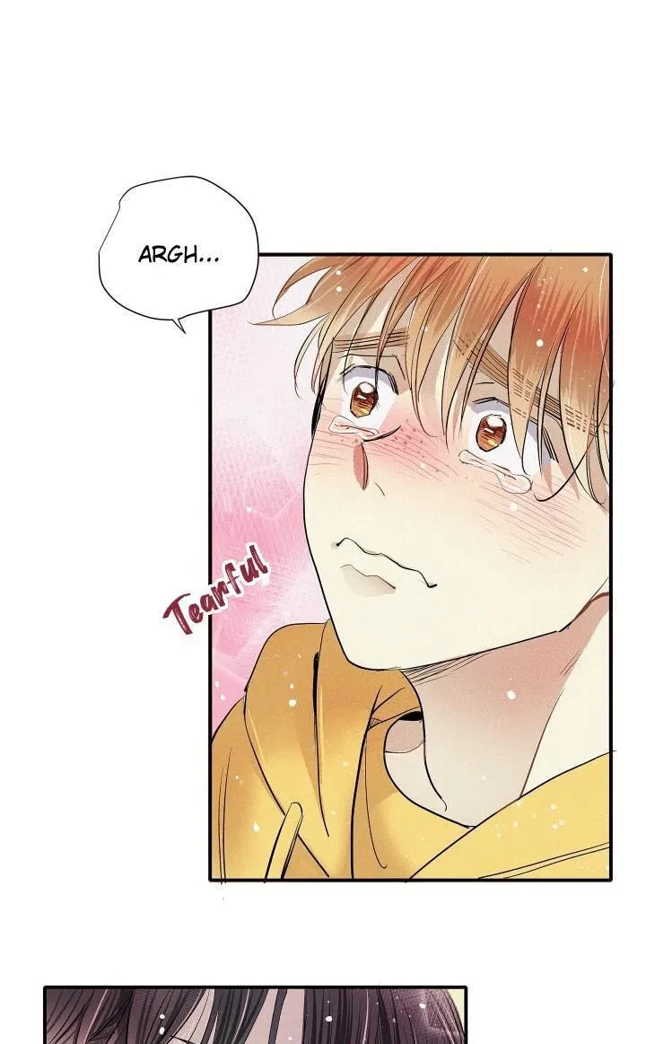 Chapter 85, page 29