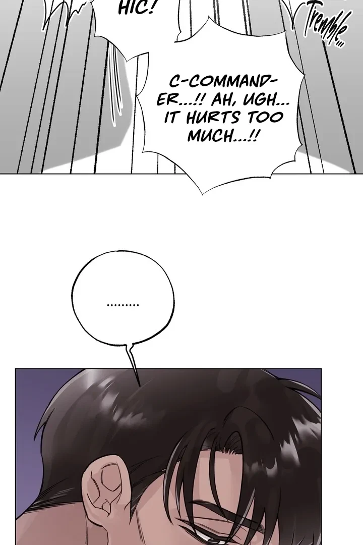 Chapter 3, page 60