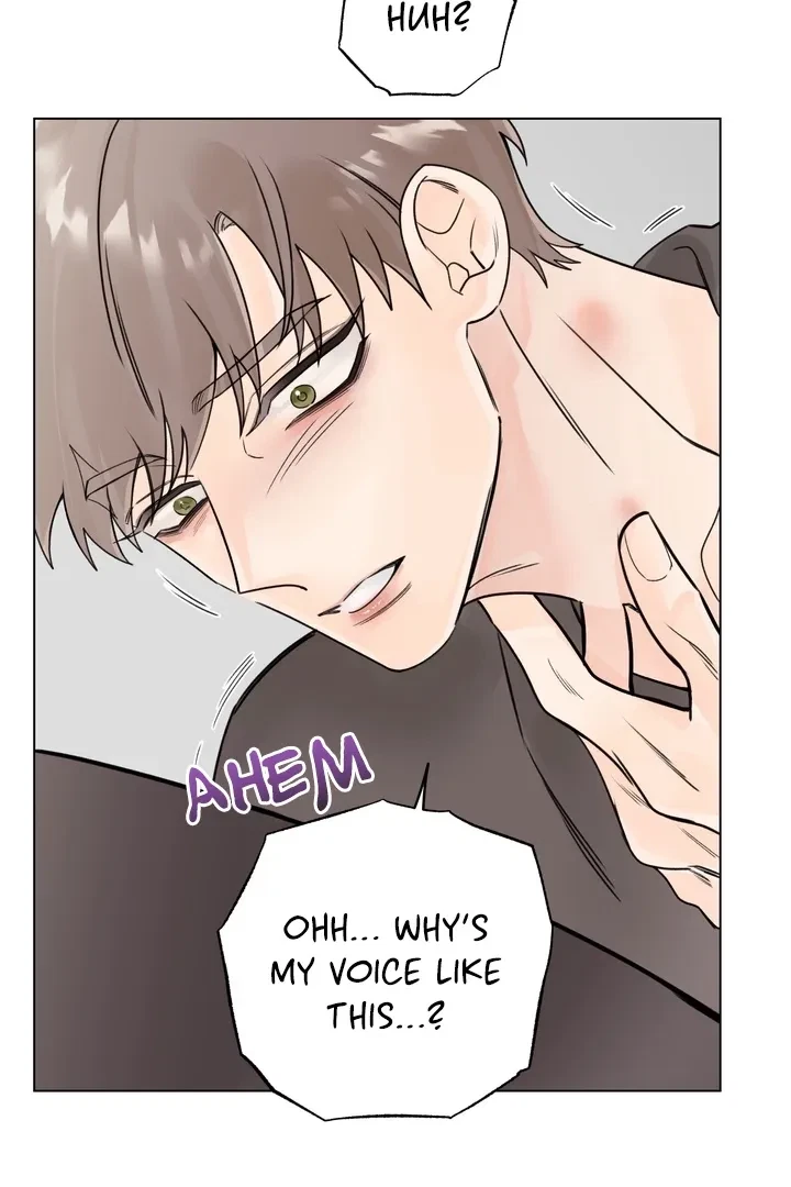 Chapter 3, page 80