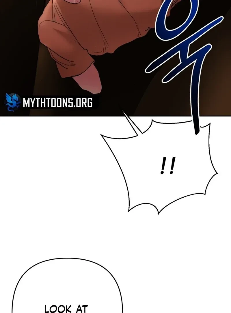 Chapter 4, page 17