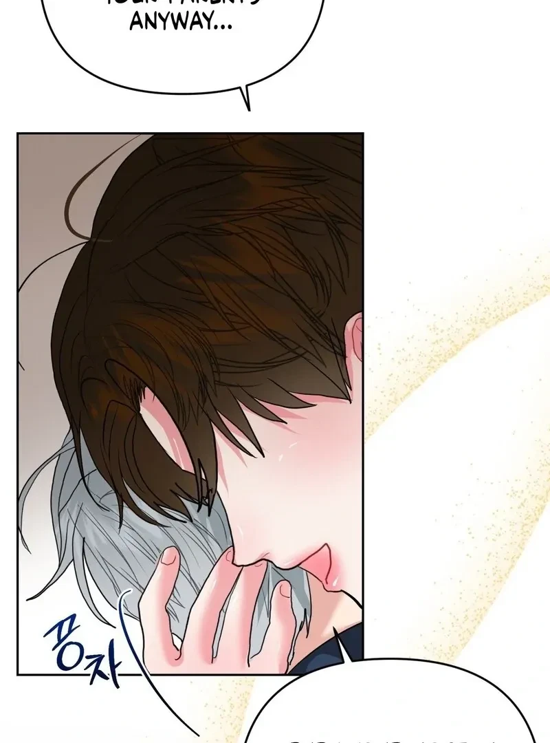 Chapter 4, page 62