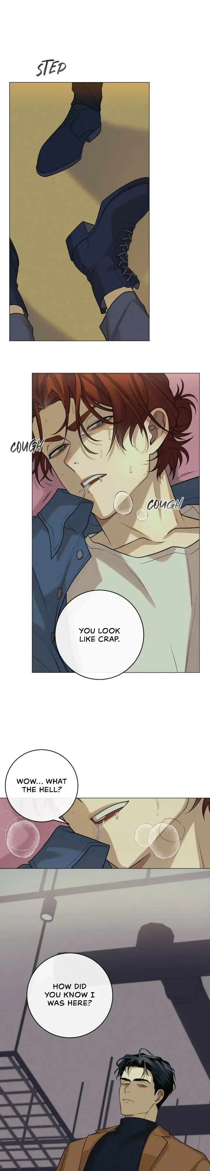 Chapter 1, page 21