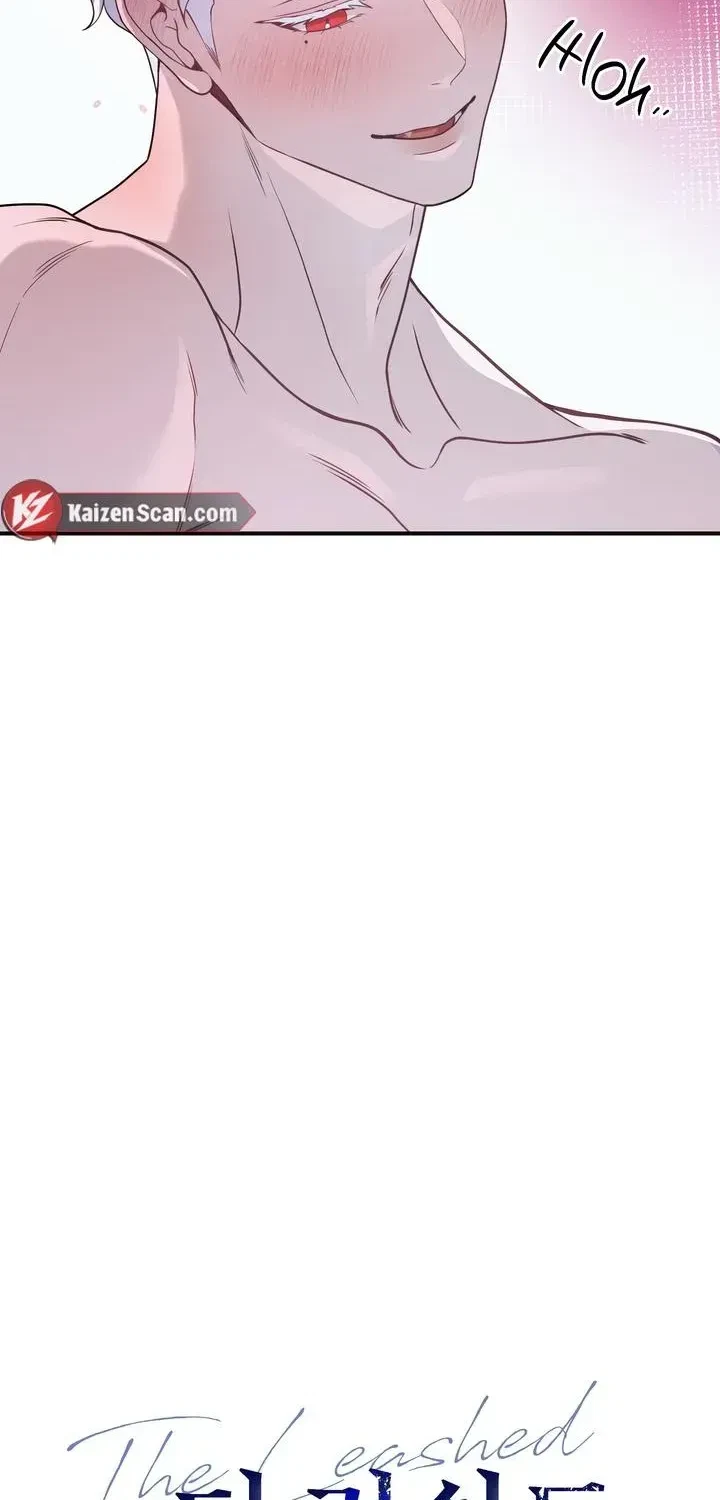 Chapter 2.1, page 23