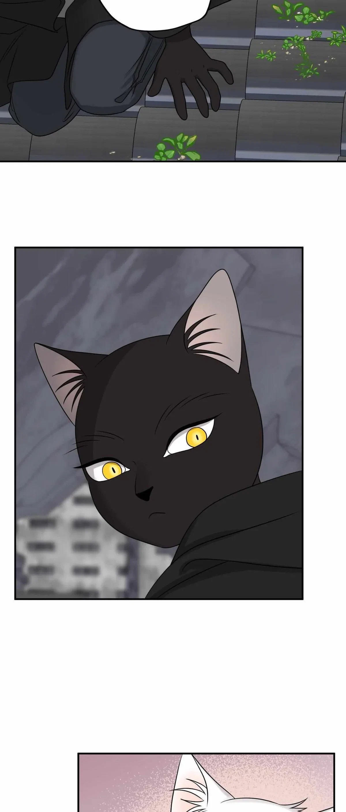 Chapter 66, page 17