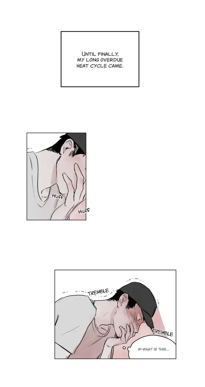 Chapter 1, page 13