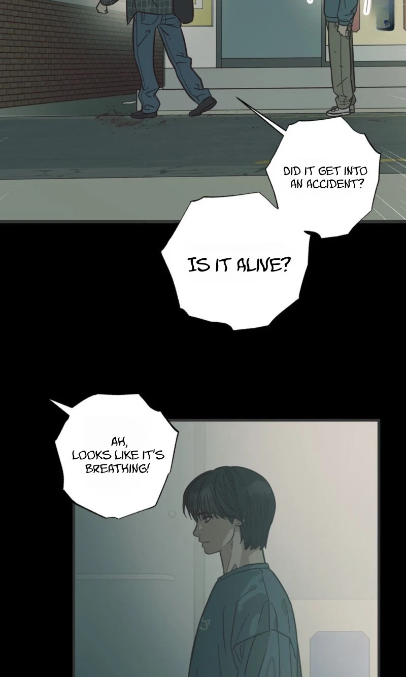Chapter 33, page 5