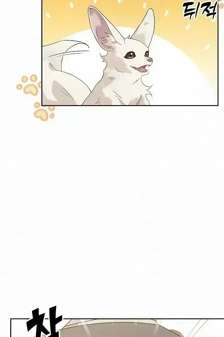 Chapter 1.7, page 51