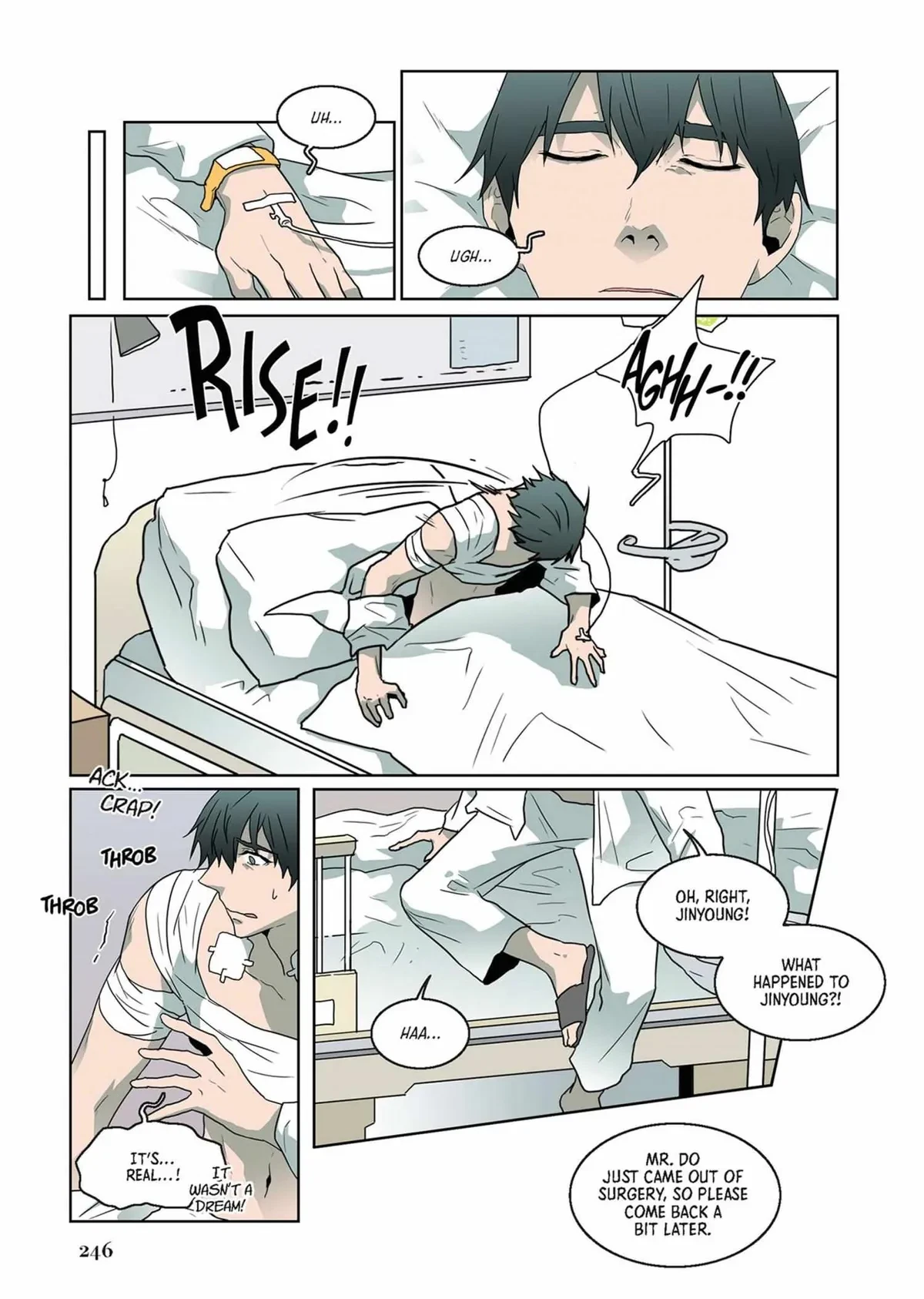 Vol.2  Chapter 15-29, page 246