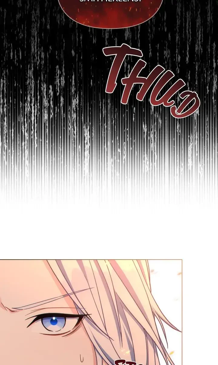 Chapter 1.1, page 13