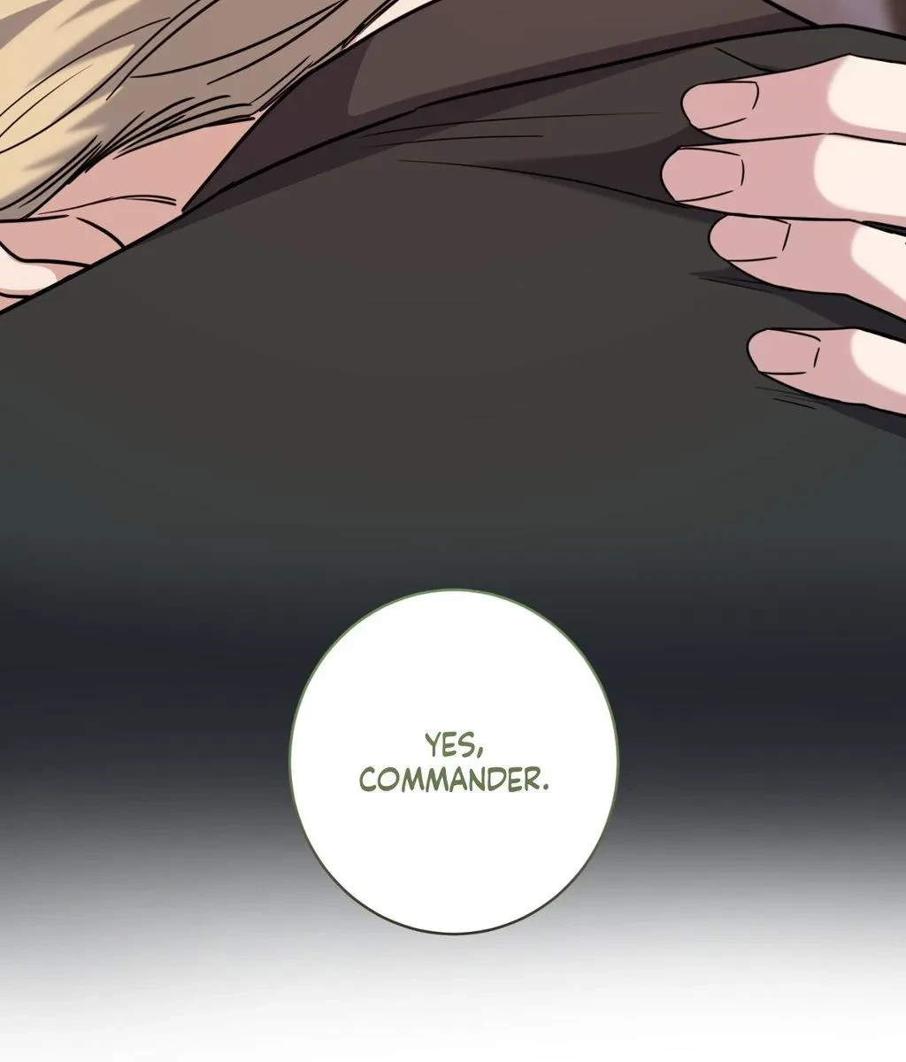 Chapter 80.03, page 81