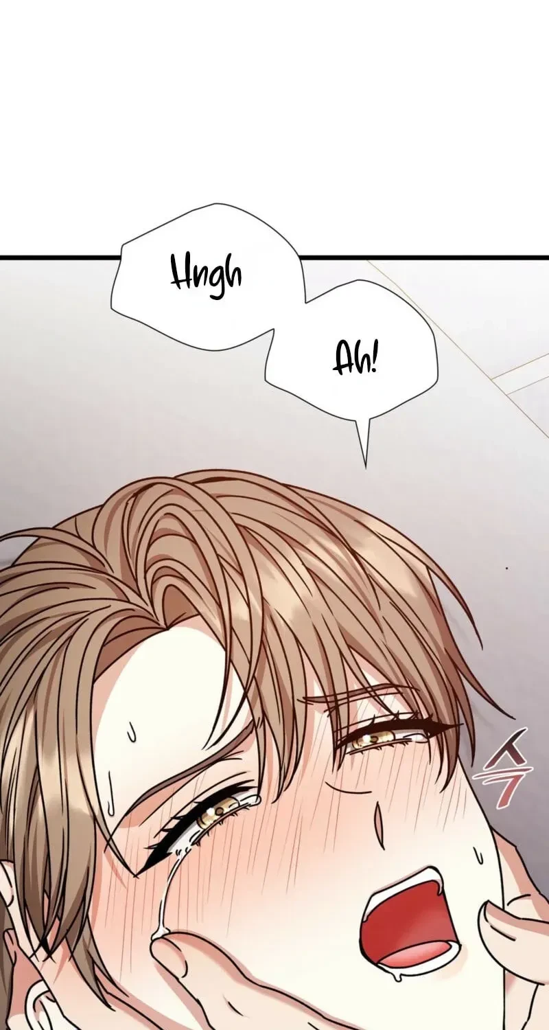 Chapter 42, page 14