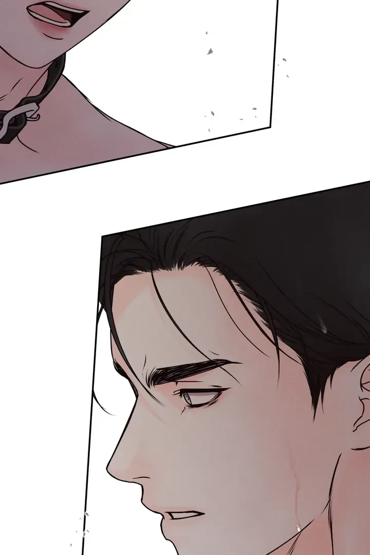 Chapter 2, page 97