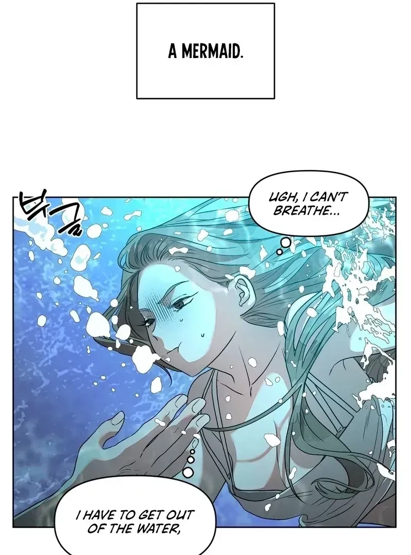 Chapter 1.1, page 74