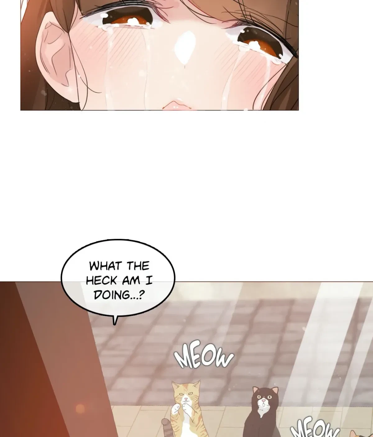 Chapter 17.1, page 22