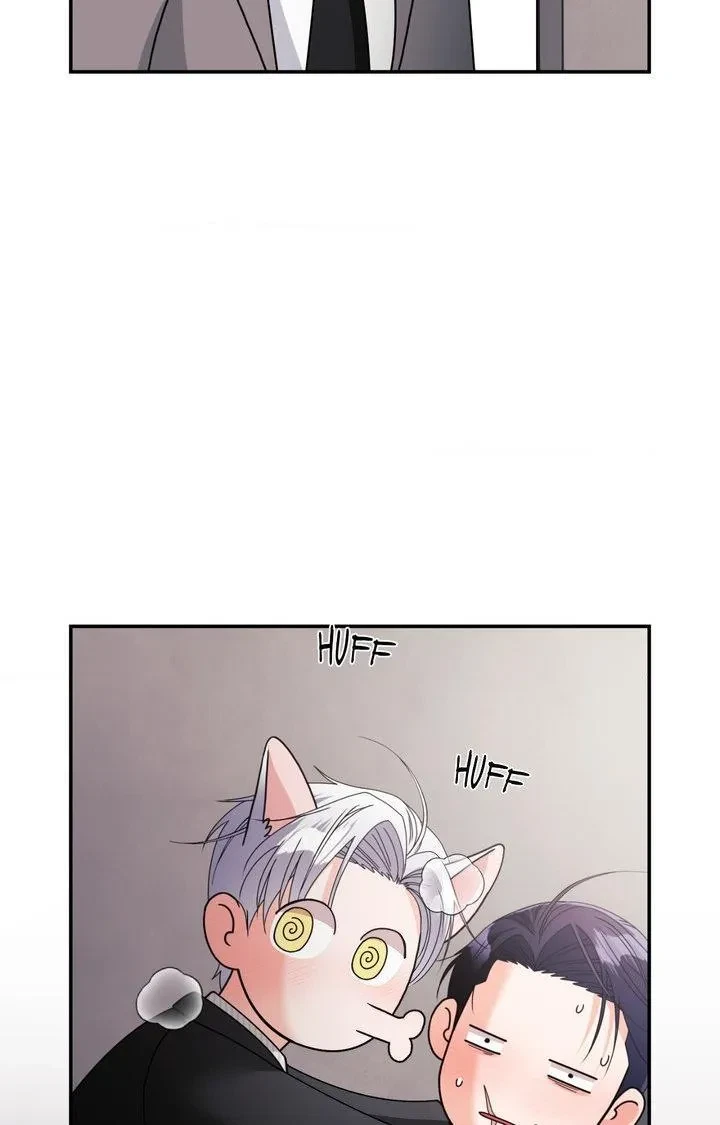 Chapter 48, page 78