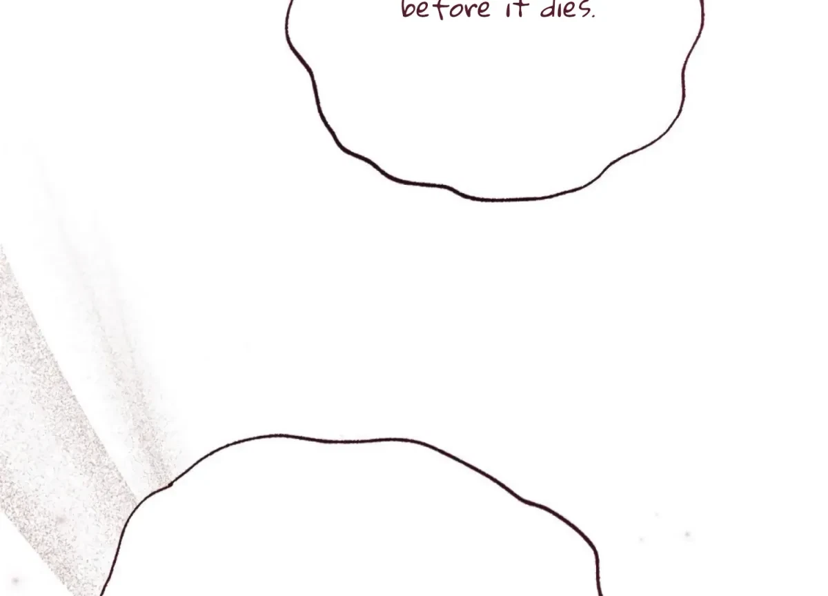 Chapter 6, page 205