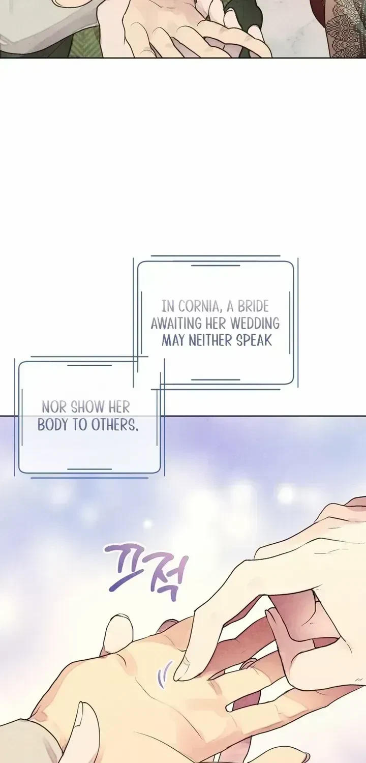 Chapter 1.2, page 20