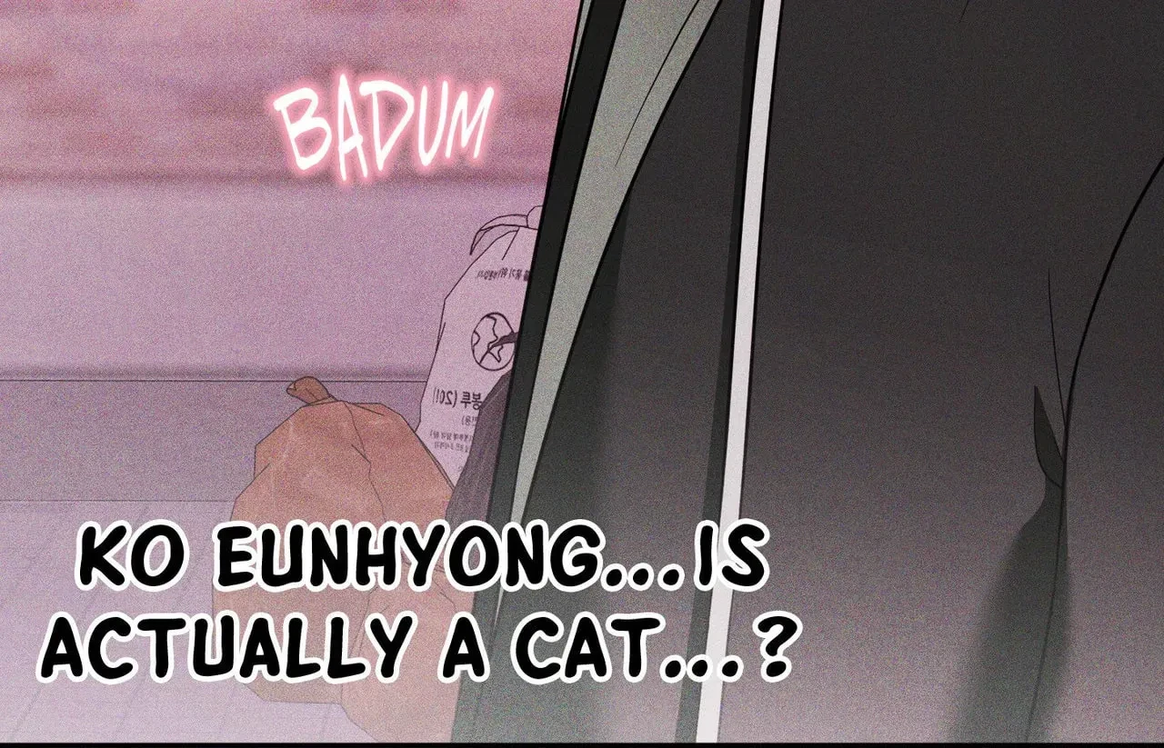 Chapter 29, page 137