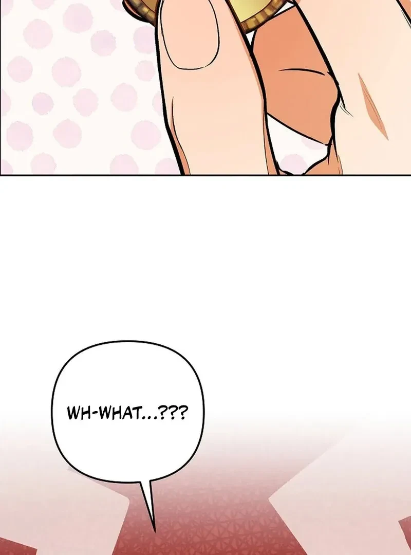 Chapter 2, page 113