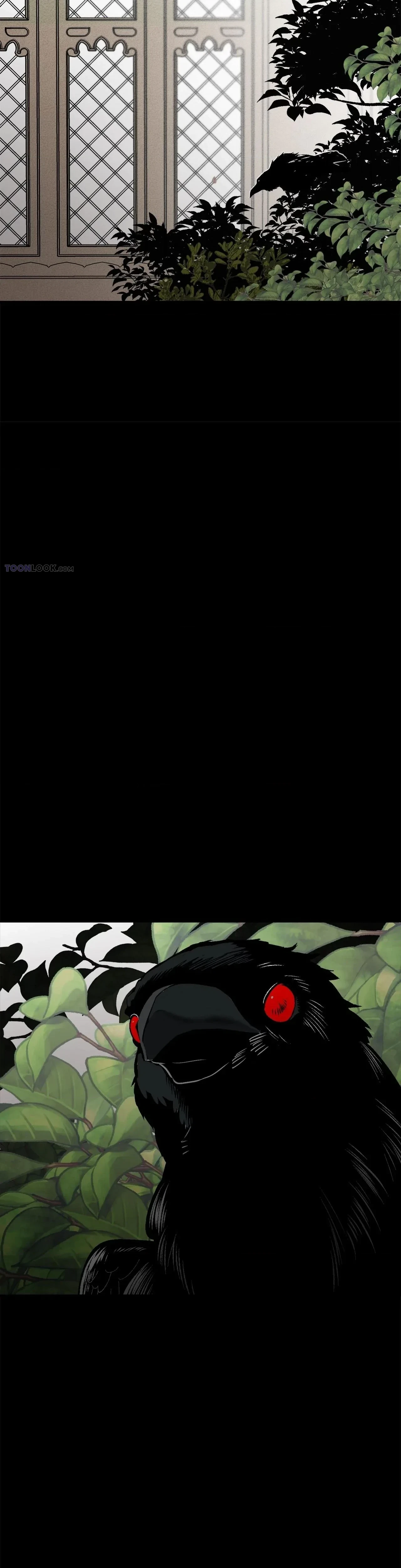 Chapter 2, page 31