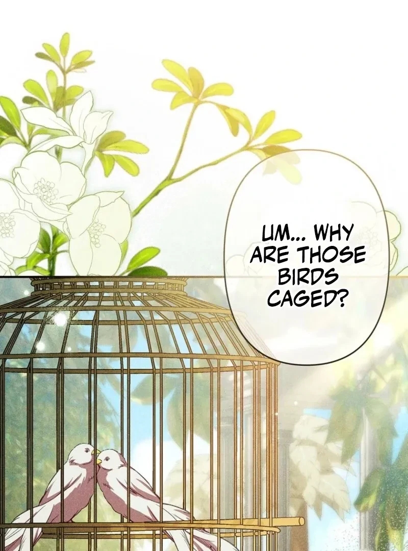 Chapter 24, page 96
