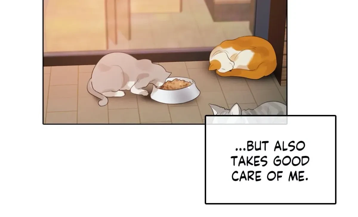 Chapter 5.1, page 78