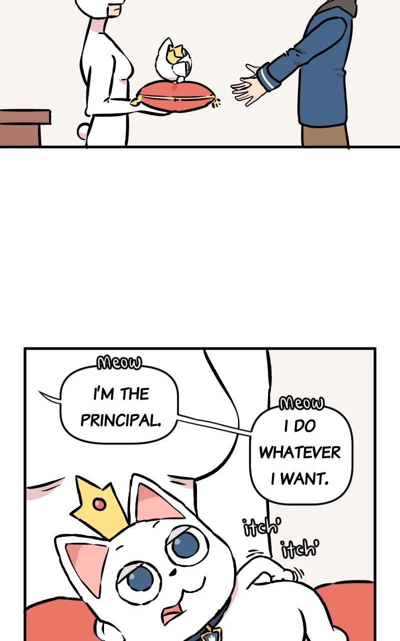 Chapter 34, page 35