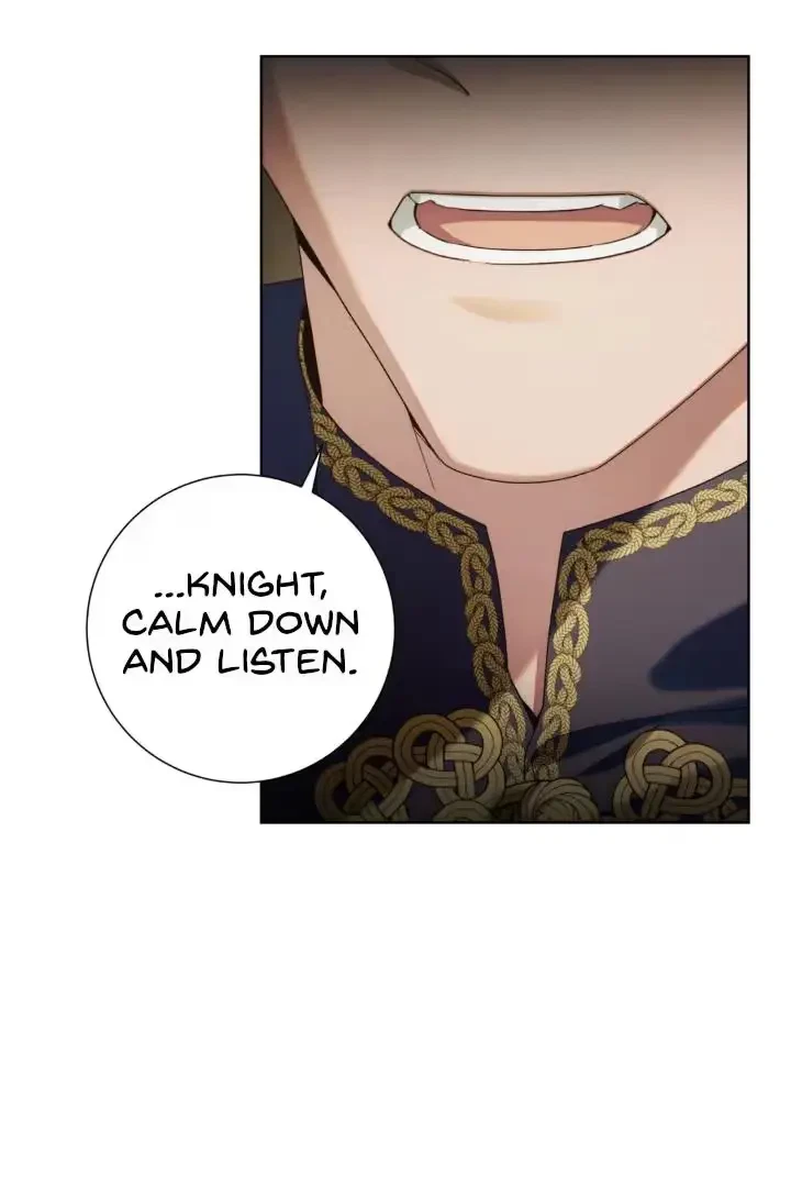 Chapter 8, page 97