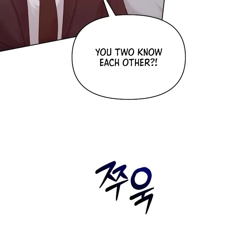 Chapter 2, page 111