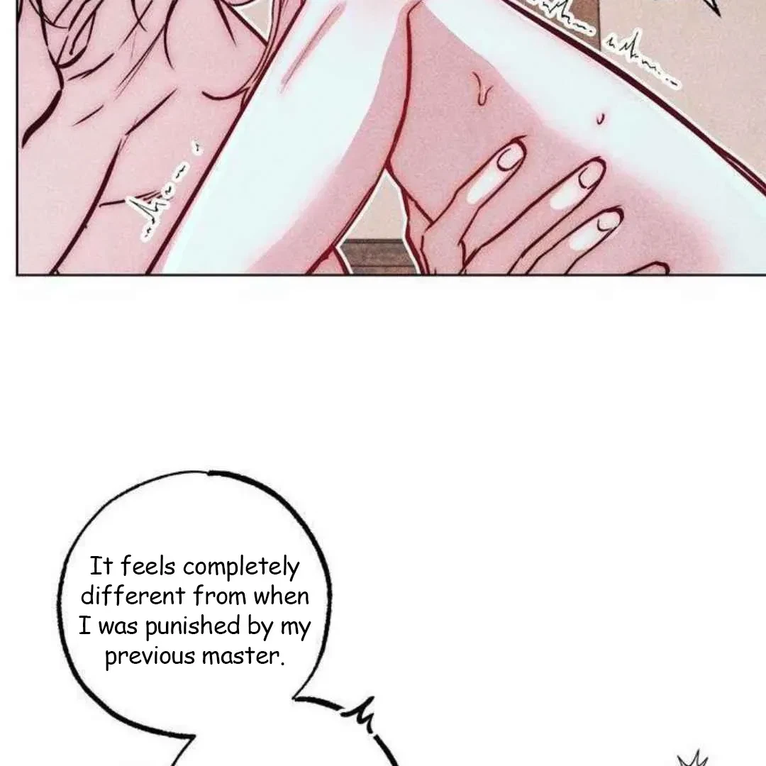 Chapter 3, page 98