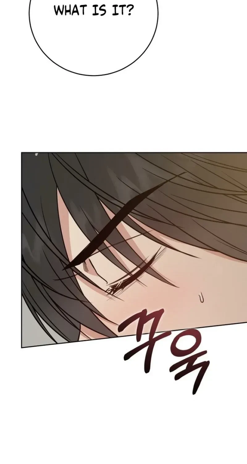 Chapter 25, page 100