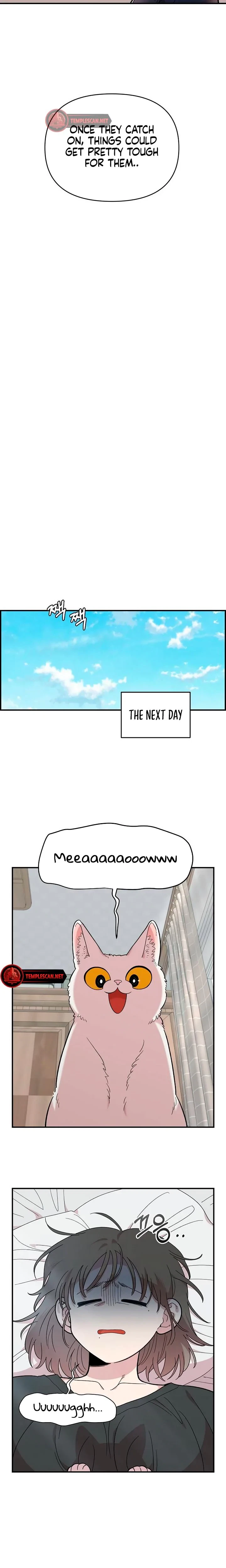 Chapter 19, page 17