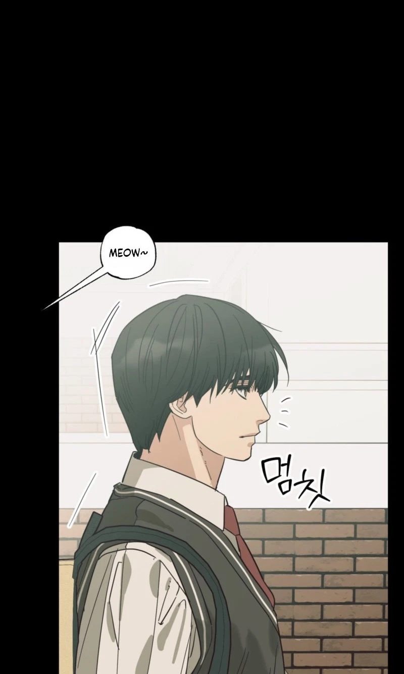Chapter 29, page 41