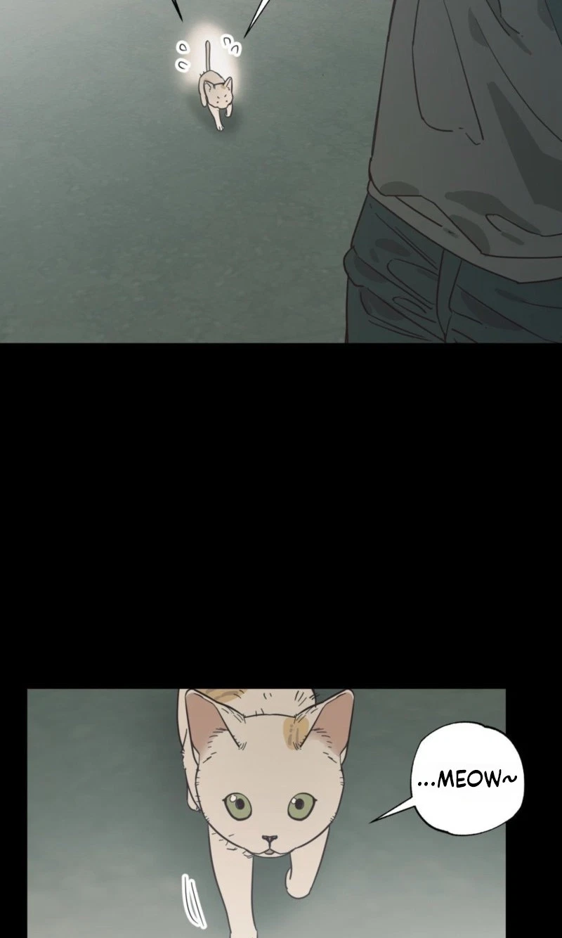 Chapter 29, page 43