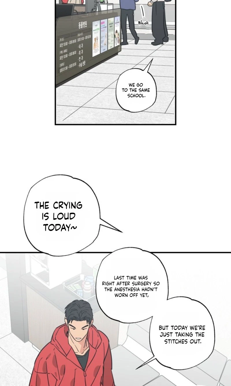 Chapter 29, page 53